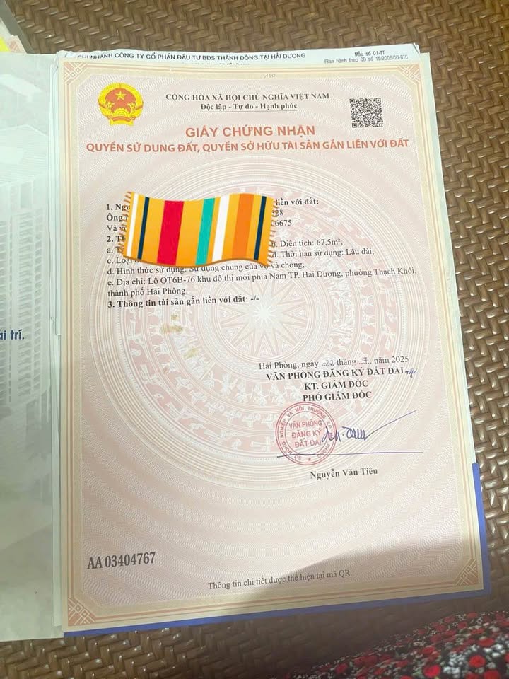 Đất nền VIỆN NHI Hải Dương 135m² hướng Nam - Sổ đỏ sẵn sàng giao dịch