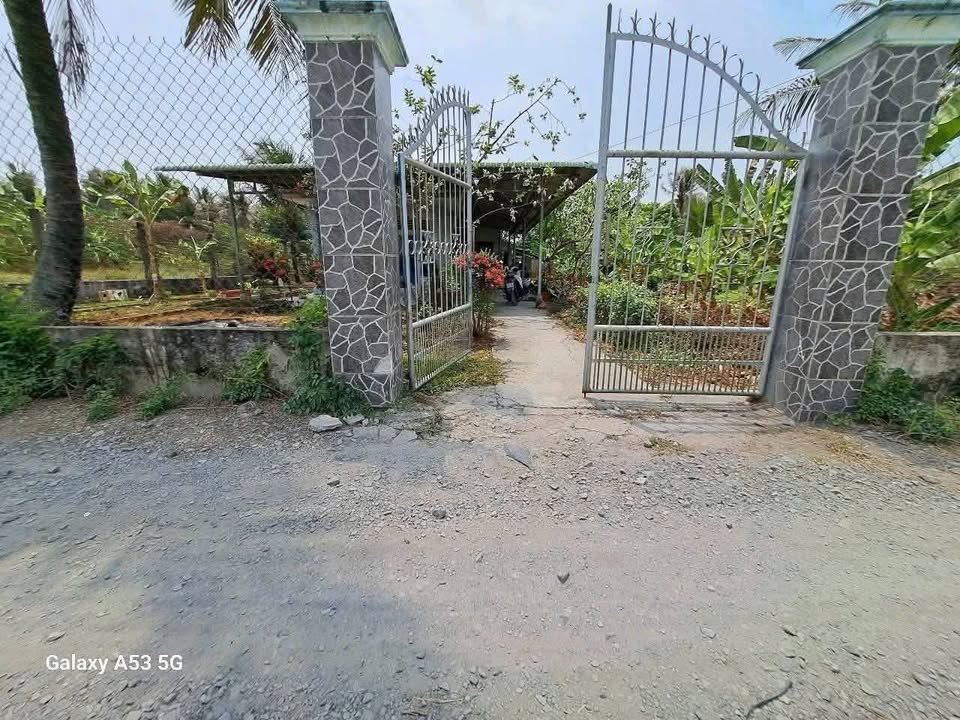 Bán Nhà Vườn Lô Gốc 1300m² Bến Lức, Long An - Giá 5.5 Tỷ