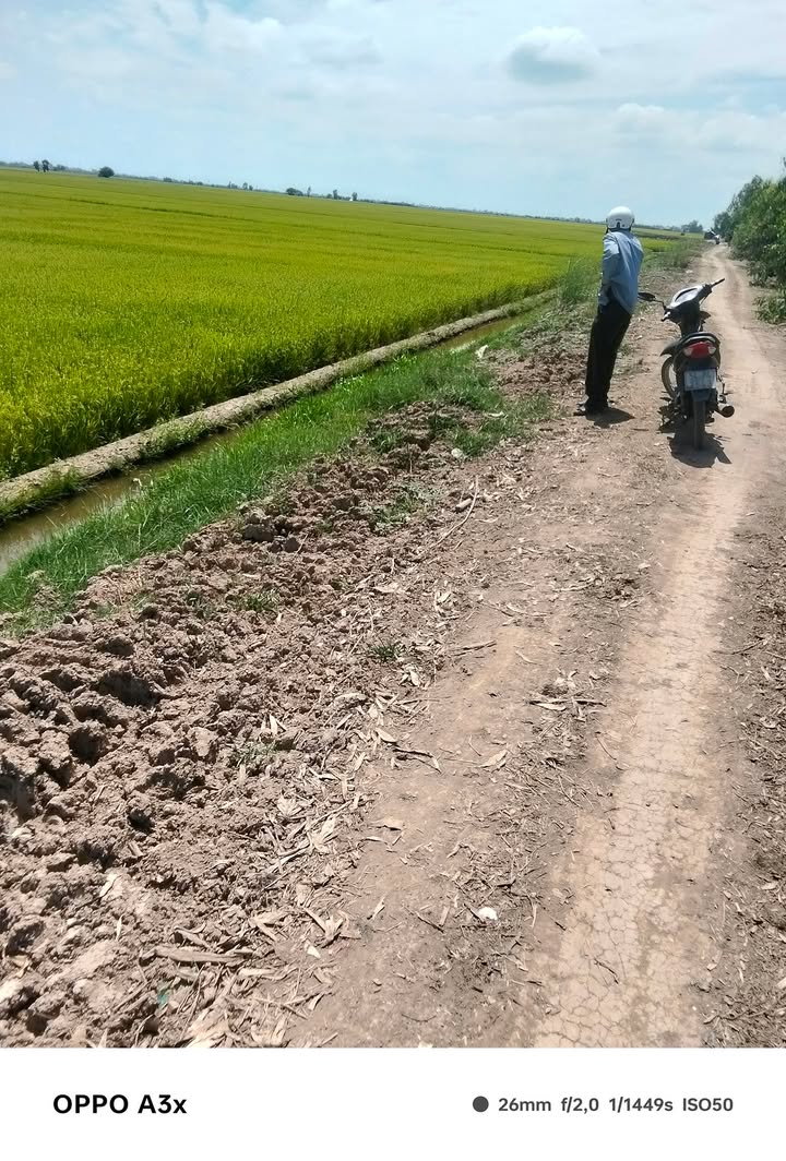 Đất Vườn 50.000m² Mặt Tiền Kênh Lớn, Tam Nông, Đồng Tháp - Giá Đầu Tư