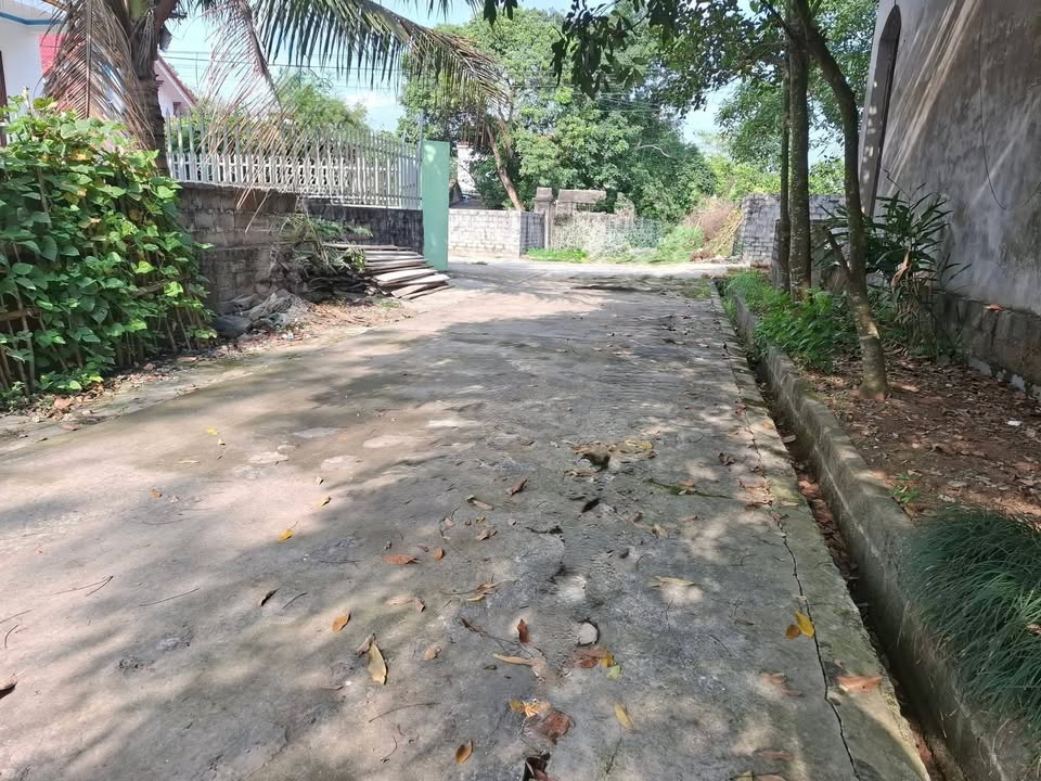 Đất nền Ninh Bình 240m² - Sổ đỏ sẵn, đường thông 4 phía