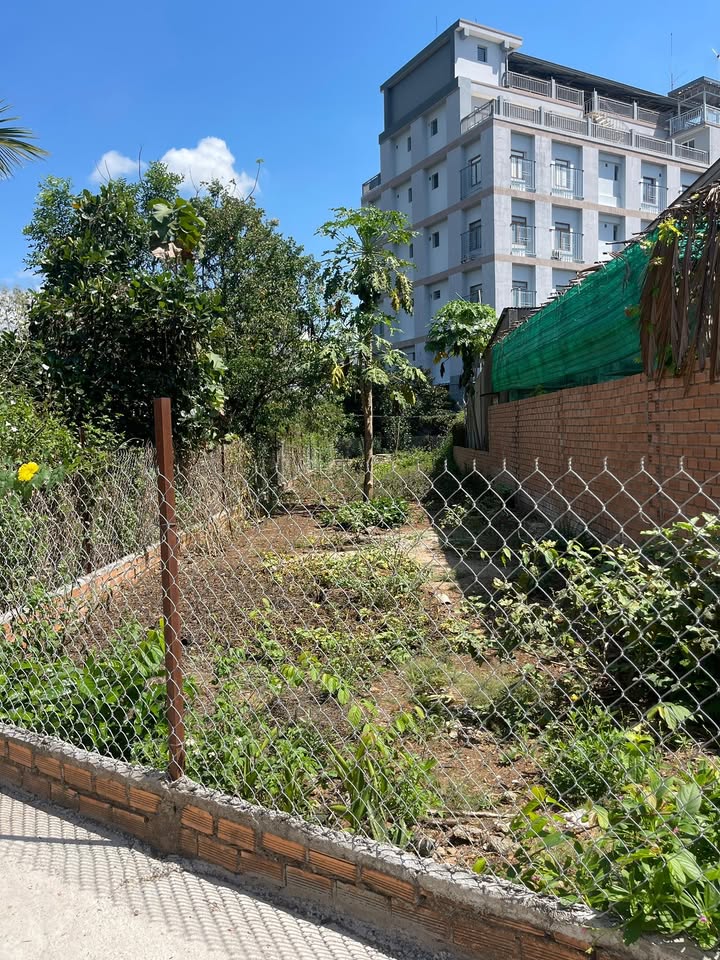 Đất nền Định Quán 170m² (5x34m nở hậu 7.5m) - Sổ hồng thổ cư 100% - Giá 780 triệu