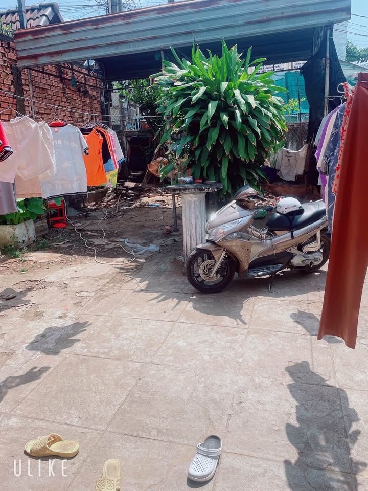 Nhà Cấp 4 An Bình - 187m² Sân Rộng, 2PN, Nuôi Thú Cưng - 5 Triệu/Tháng