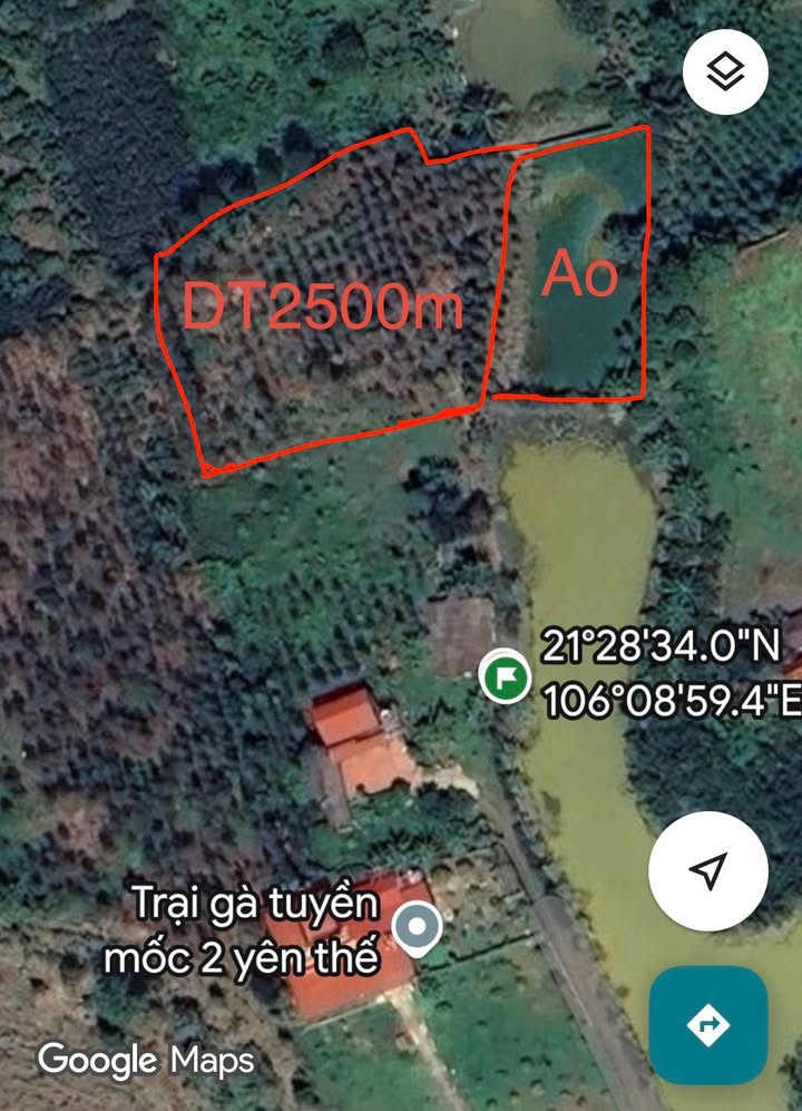 Bán Gấp Đất Vườn 2500m² Tặng Kèm 800m Áo - Yên Thế, Bắc Giang