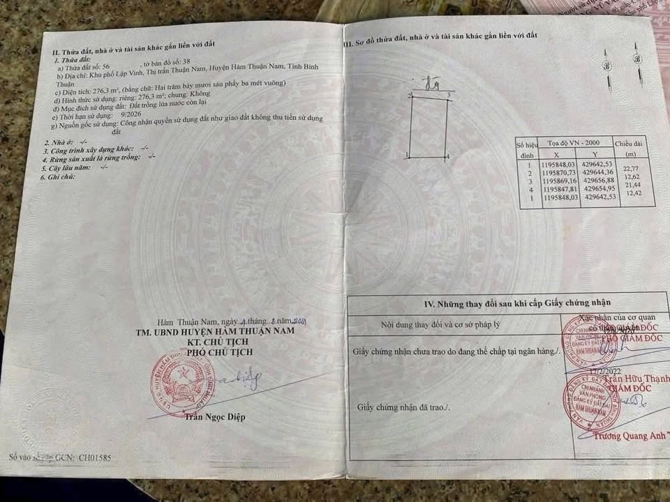 Đất Vườn 600m² Thị Trấn Thuận Nam - Sổ Hồng Riêng, Giá Chỉ 195 Triệu