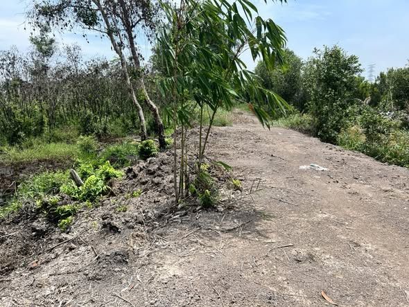 Bán Gấp Đất Vườn 3300m² Mặt Tiền Kênh Củ Chi - Giá 3.3 Tỷ