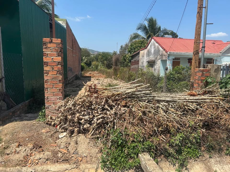 Đất nền mặt tiền Tỉnh lộ 9, Krông Pắc, Đắk Lắk - 320m² giá F0 chỉ 2.3 tỷ