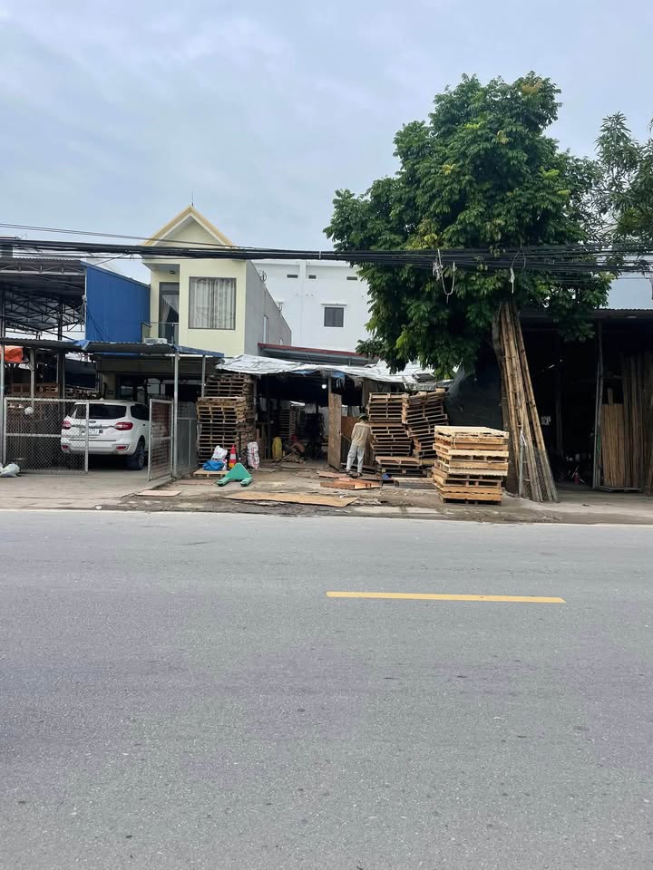 Đất Mặt Đường 351 Đặng Cương, Hải Phòng - 200m² Kinh Doanh/Đầu Tư Lâu Dài