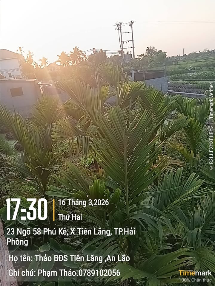 Đất Vườn 200m² An Lão, Hải Phòng - Giá Tốt, View Mát