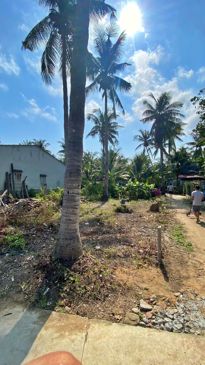 Đất nền 134m² Trương Định, Bình Định - Sẵn Sàng Đón Sóng Cảng Cá Tam Quan