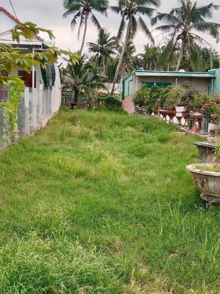 Bán đất nền 198m² Hoài Phú, Bình Định - Sổ đỏ sẵn, gần chợ, trường học