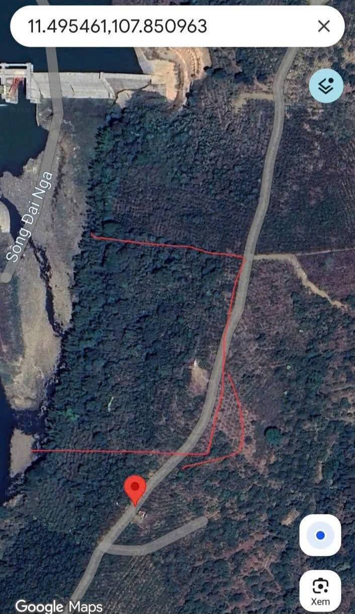 Đất Vườn 17.000m² Tân Lạc, Bảo Lộc - Sổ Hồng Sẵn, Thu Nhập Ổn Định