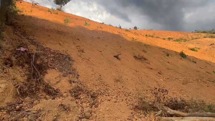 Đất nền Lâm Đồng 20.000m² - Sổ tay, giá 9 tỷ - Vị trí đắc địa