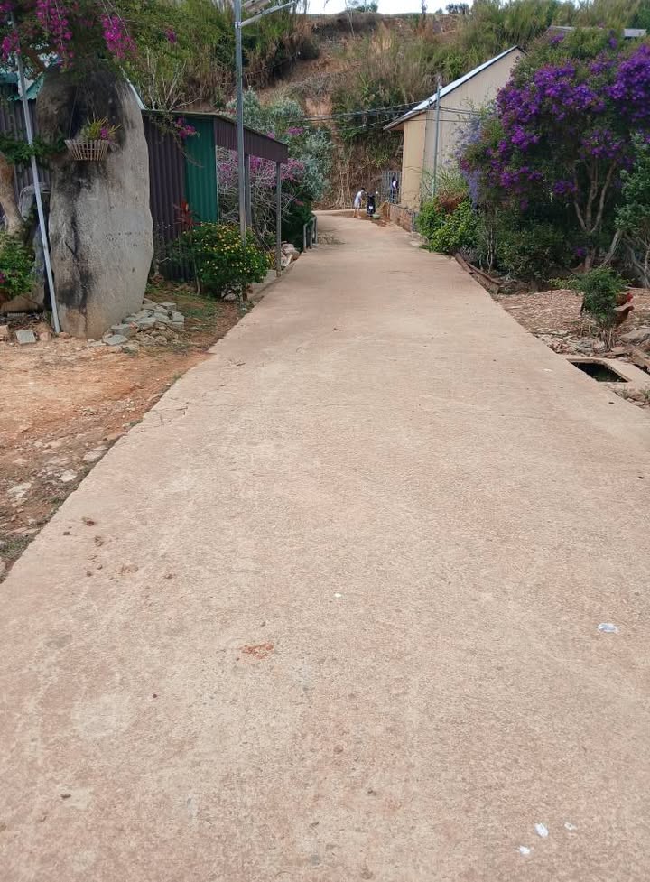 Đất Nông Nghiệp Đà Lạt 525m² Mặt Tiền Đường 4.2m - Sổ Riêng Giá Tốt