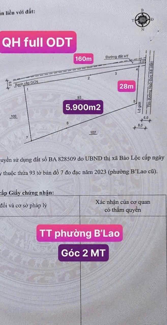 Đất Vàng 5900m² 2 Mặt Tiền Ngô Đức Kế, Bảo Lộc - Giá 12.5 Tỷ