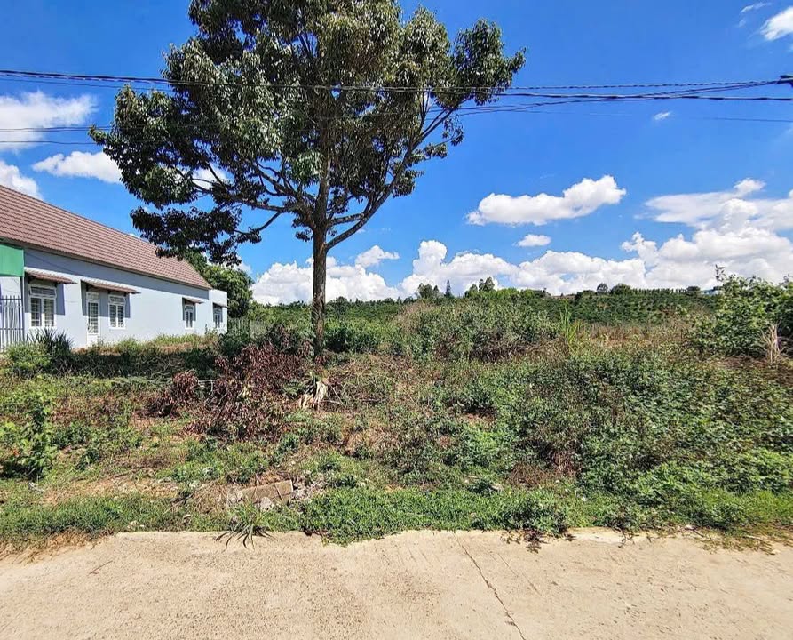 Đất Nền Ninh Gia, Đức Trọng 288m² - Sổ Hồng Sẵn Sàng, Giá Đầu Tư 1.5 Tỷ