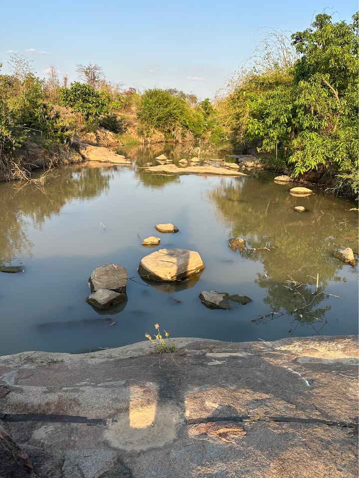 Đất Nền Ea H'Leo, Đắk Lắk - 12.360m² Ôm Suối Lớn, Giá 5.1 Tỷ