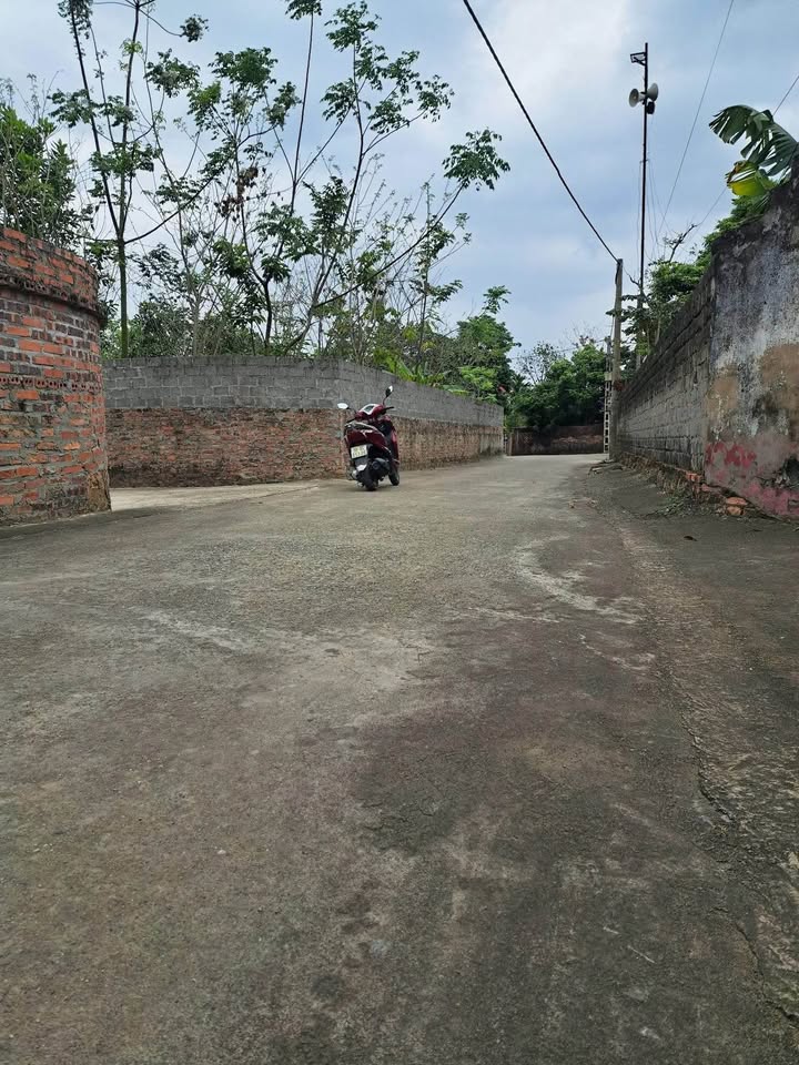 Đất Vườn 1325m² Tân An, Bắc Giang - Giá Tốt Đầu Tư