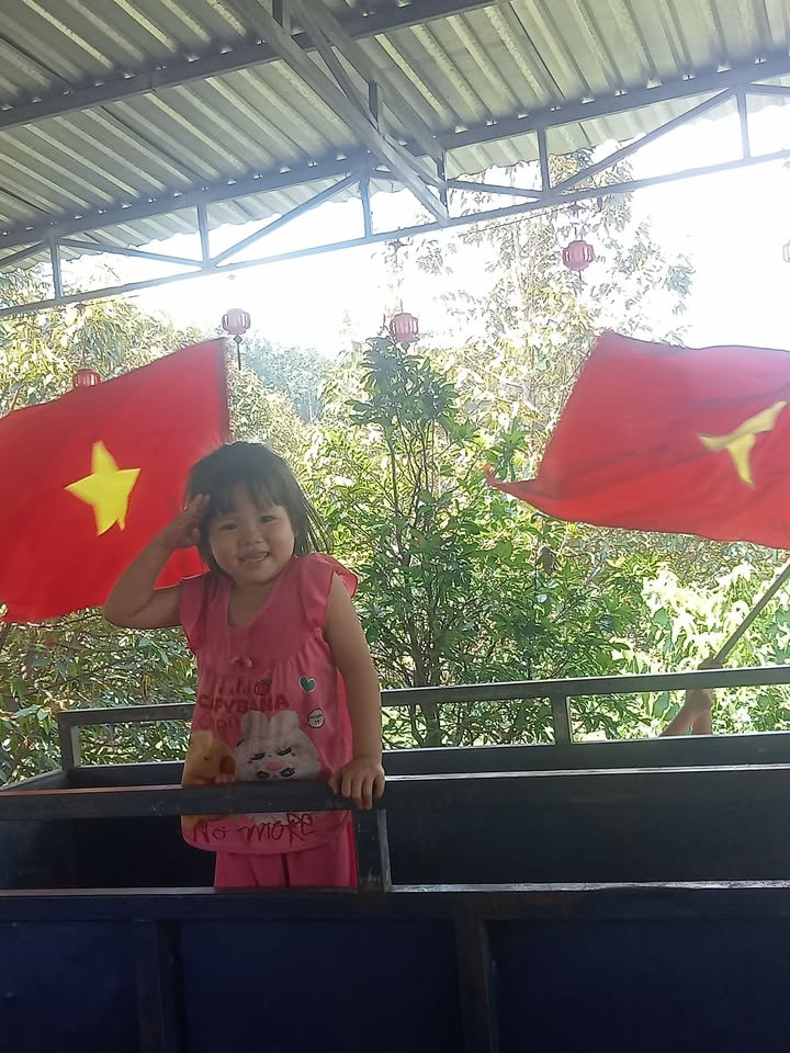 Bán Đất Vườn 8000m² Mặt Tiền ĐT741, Bình Phước - Giá Tốt