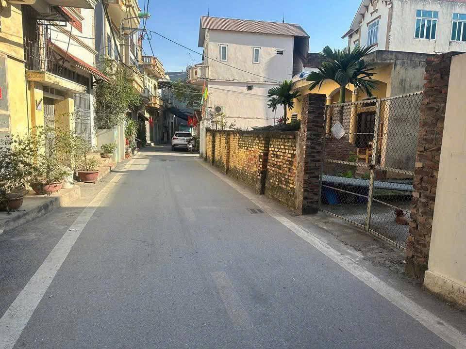 Đất nền Tân Hội, Đan Phượng 54.3m² - Kinh doanh đắc lợi, tiềm năng tăng giá