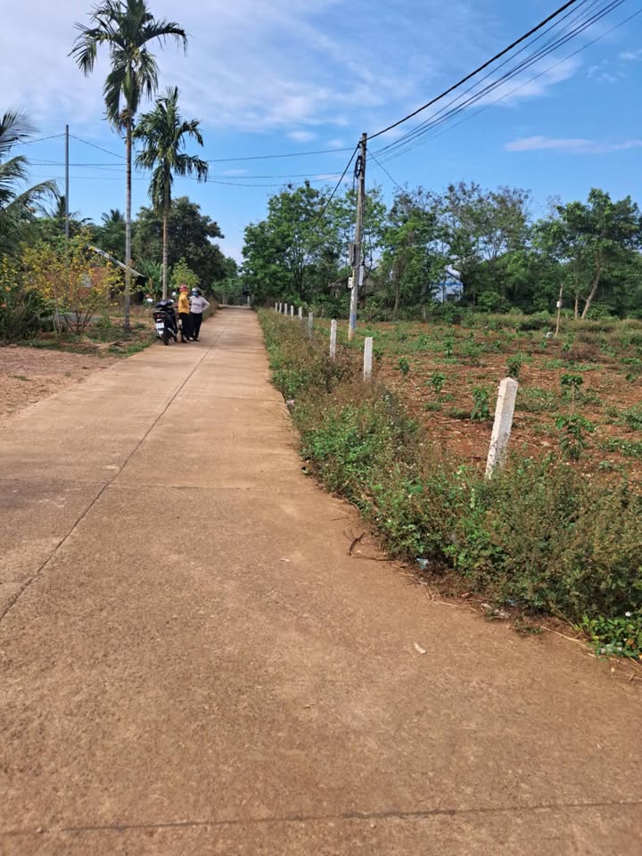 Đất Nền Đắk Nông 9879m² - Sổ Đỏ Rõ Ràng, Giá Tốt Đầu Tư