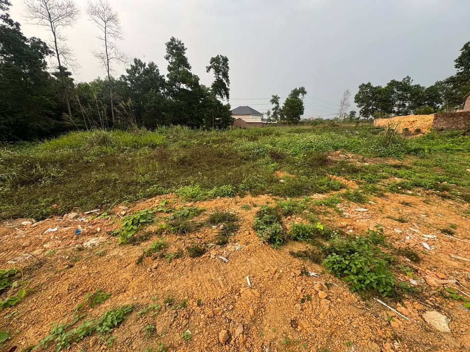 Đất Vườn Nghỉ Dưỡng Sóc Sơn 2000m² - View Núi Đẹp, Sổ Đỏ Sẵn Sàng