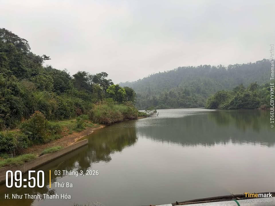 Bán Đất Đồi 30.000m² View Hồ Như Thanh, Thanh Hóa - Cơ Hội Đầu Tư Hấp Dẫn