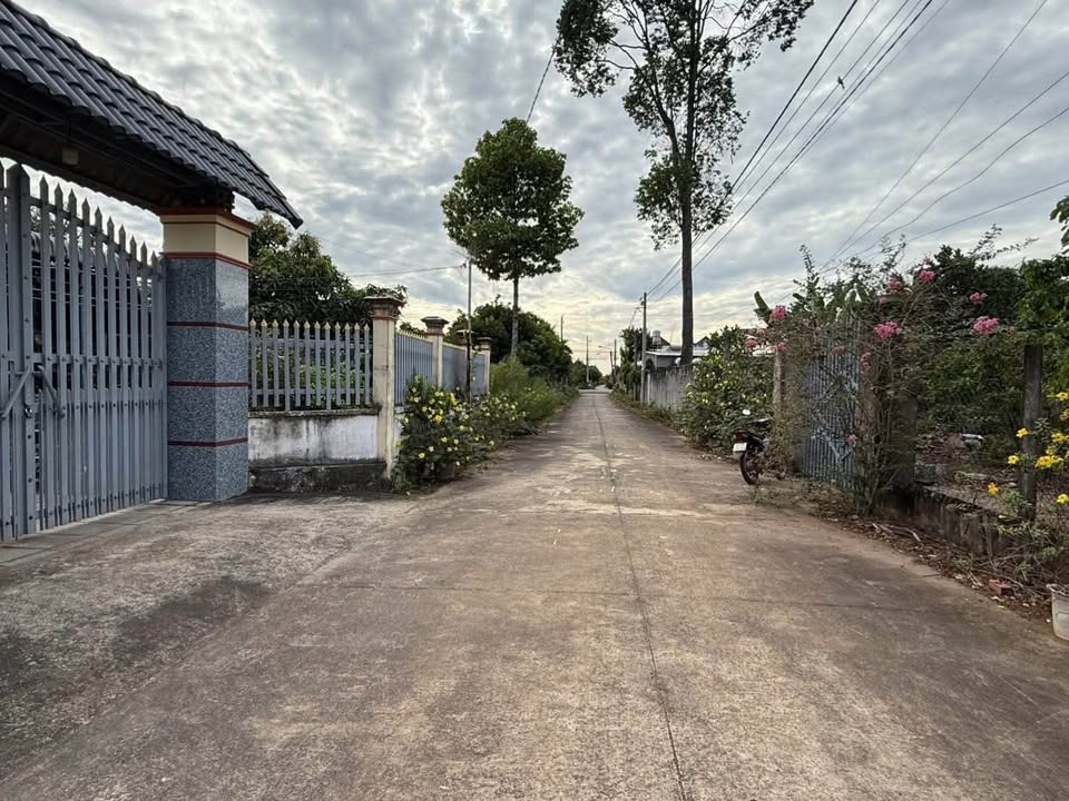 Bán Đất An Phú, Thủ Đức 550m² - Sổ Hồng Sẵn, Giá 1.3 Tỷ