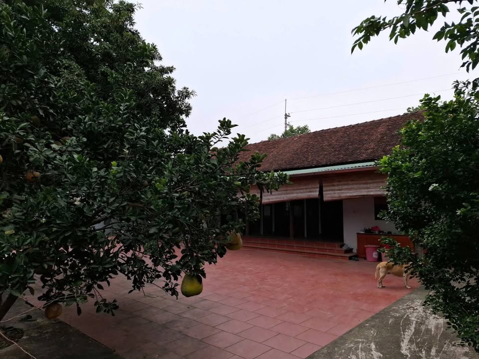 Đất nền Thái Bình 700m² - Ngay Tỉnh lộ 420, gần Hòa Lạc - 1x Tỷ