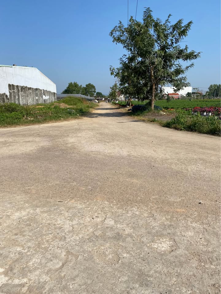 Đất Vàng Mặt Tiền T9, Hòa Vang, Đà Nẵng - 180m² Sẵn Sàng Đầu Tư