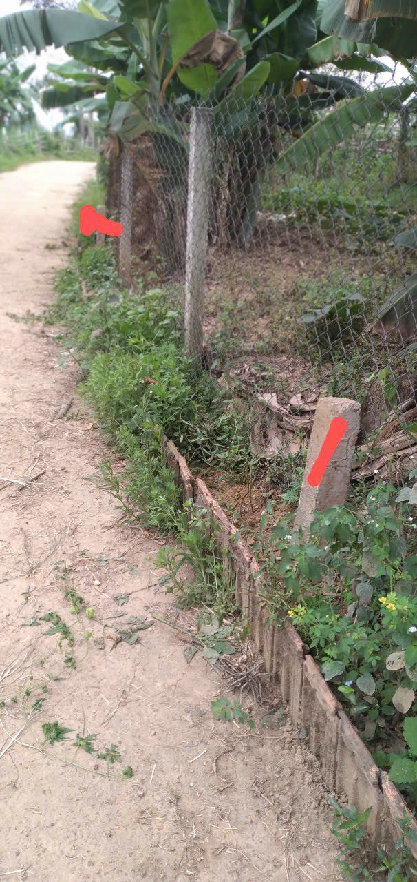 Đất Nền Điện Tiến 125m² - Sổ Đỏ Rõ Ràng, Giá Đầu Tư 5xx Triệu