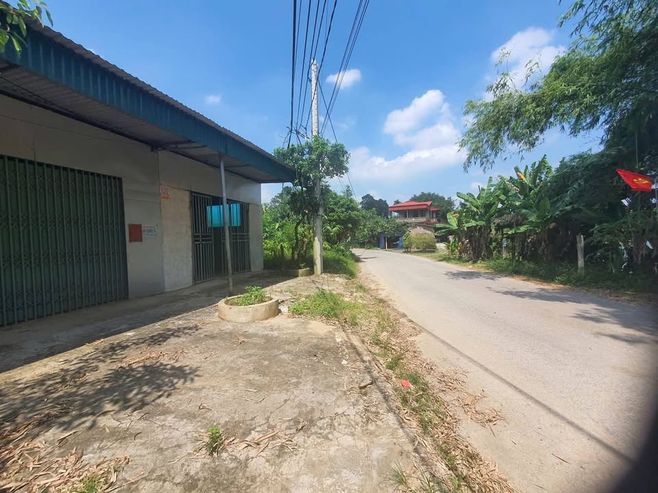 Bán Gấp Nhà Xưởng 422.5m² Mặt Tiền UBND Xã Đan Thượng, Phú Thọ - Giá Tốt