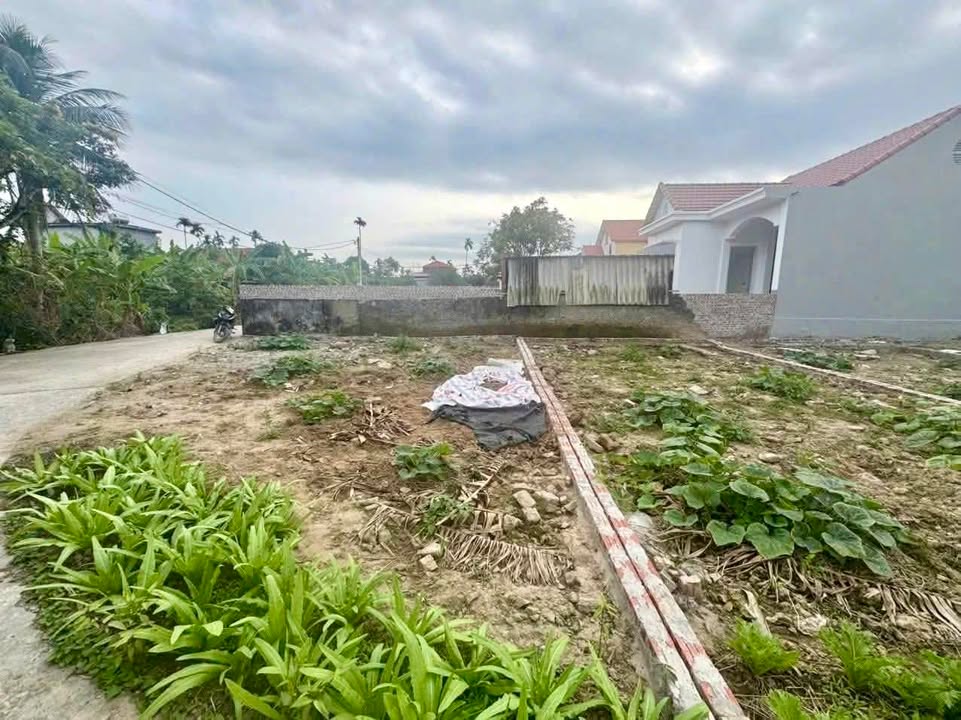 Đất Lô Góc 142m² Mặt Tiền Đôi TT. Thanh Hà, Hải Dương - Giá 1.x Tỷ