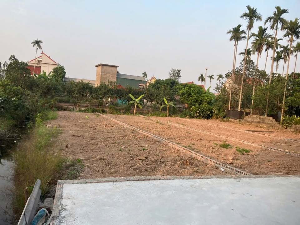 Đất Nền 114m² Xã Thanh Xuân, Hải Dương - Sổ Đỏ Sẵn Sàng