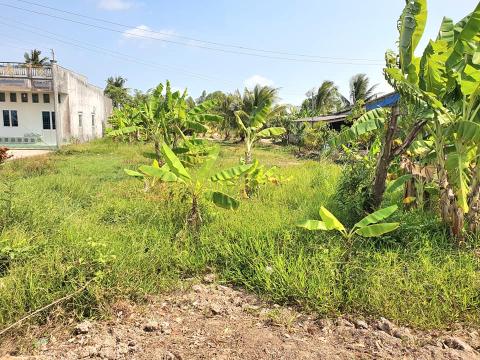 Đất Vườn Cà Mau 624m² - Sổ Hồng Thổ Cư, View Sông 1.44 Tỷ