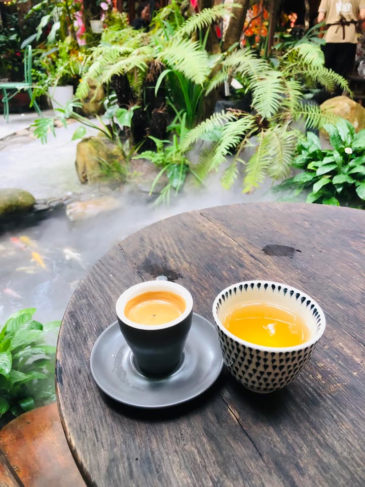 Đất Nền F0 Phạm Đình Toái, Huế - 108m² - Giá 1.5 Tỷ