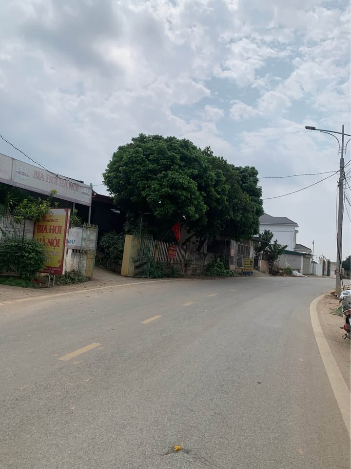 Đất Nền Phú Thọ 111.6m² Gần KCN, Sổ Đỏ Chính Chủ - Giá 2.6 Tỷ