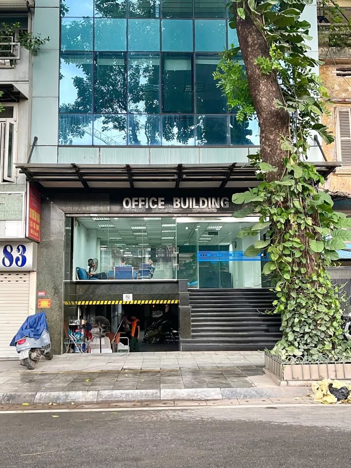 Văn Phòng Nguyễn Du 60m² - View Kính Thoáng Sáng, Giá 16 Triệu