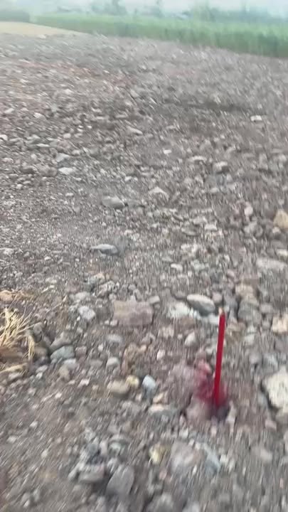 Đất Thổ Cư 300m² Xã Gia Kiệm, Đồng Nai - Sổ Sẵn, Giá Đầu Tư 5.5 Tỷ