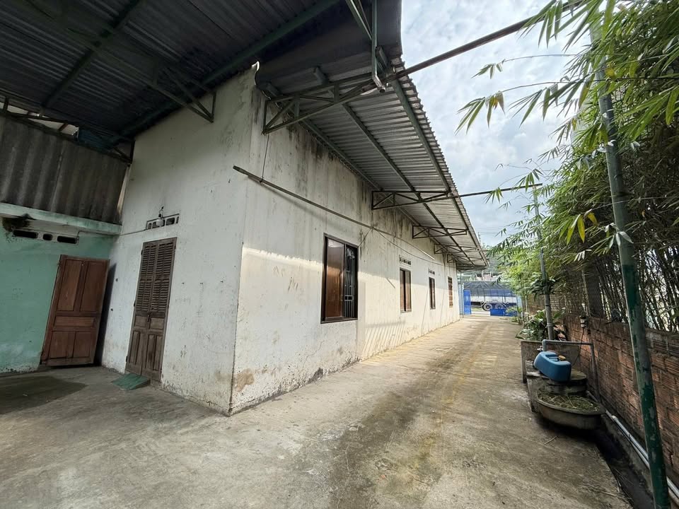 Nhà Mặt Tiền QL1A An Nhơn, Bình Định - 700m² Giá 3.5 Tỷ, KD Đa Ngành