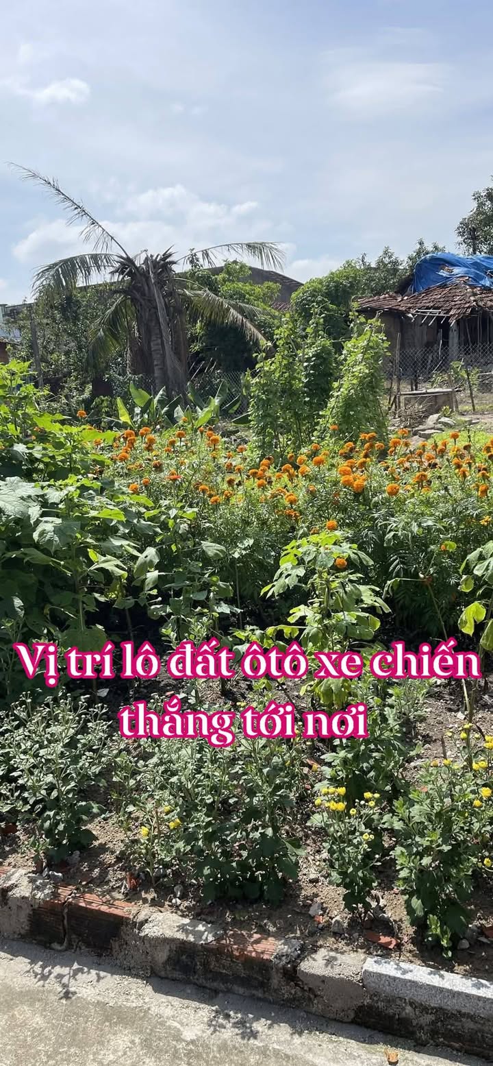 Bán Đất Long Thành 100m² Giá 4.2 Tỷ - Gần KCN, Sổ Hồng Sẵn