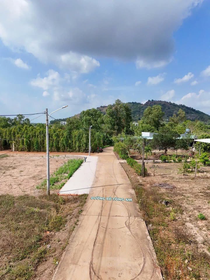 Đất Lô Góc 187m² Phường 5, Quận 5 - Giá 1.15 Tỷ, Sẵn Sàng Đầu Tư