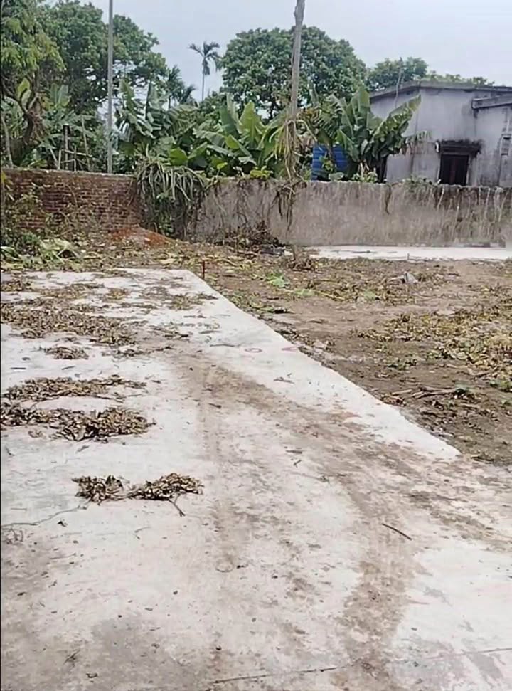 Đất nền góc 80m² Xã Đông Thái, Ninh Giang, Hải Dương - Sổ đỏ sẵn sàng