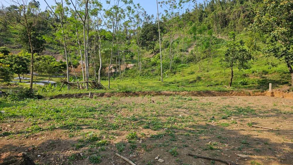 Đất Nền Lương Sơn 502m² Sổ Đỏ Sẵn Sàng - Đầu Tư Nghỉ Dưỡng