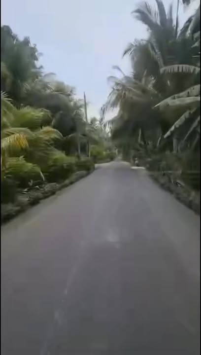 Đất 2 Mặt Tiền 316m² Bình Đại, Bến Tre - Giá 500 Triệu Kinh Doanh Sinh Lời