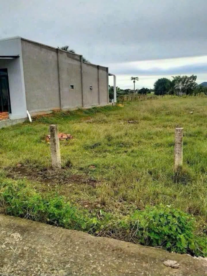 Bán Đất Vườn 1400m² Sổ Hồng Sẵn - Hồng Sơn, Hàm Thuận Bắc, Bình Thuận