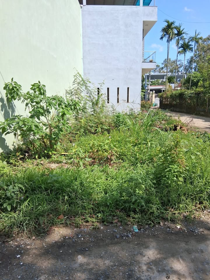 Đất Nền 2 Mặt Tiền Hòa Xuân Cẩm Lệ 101m² - Sổ Hồng Sẵn Sàng