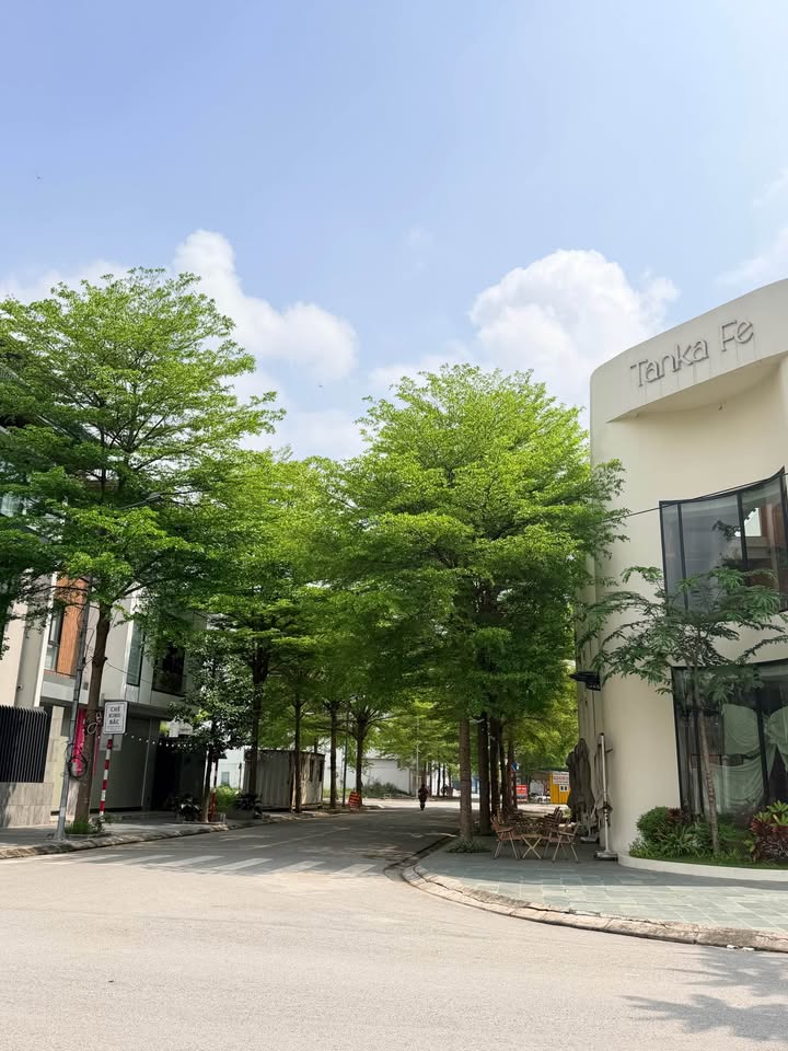 Đất nền Từ Sơn 101m² Sổ hồng lâu dài - Đầu tư sinh lời