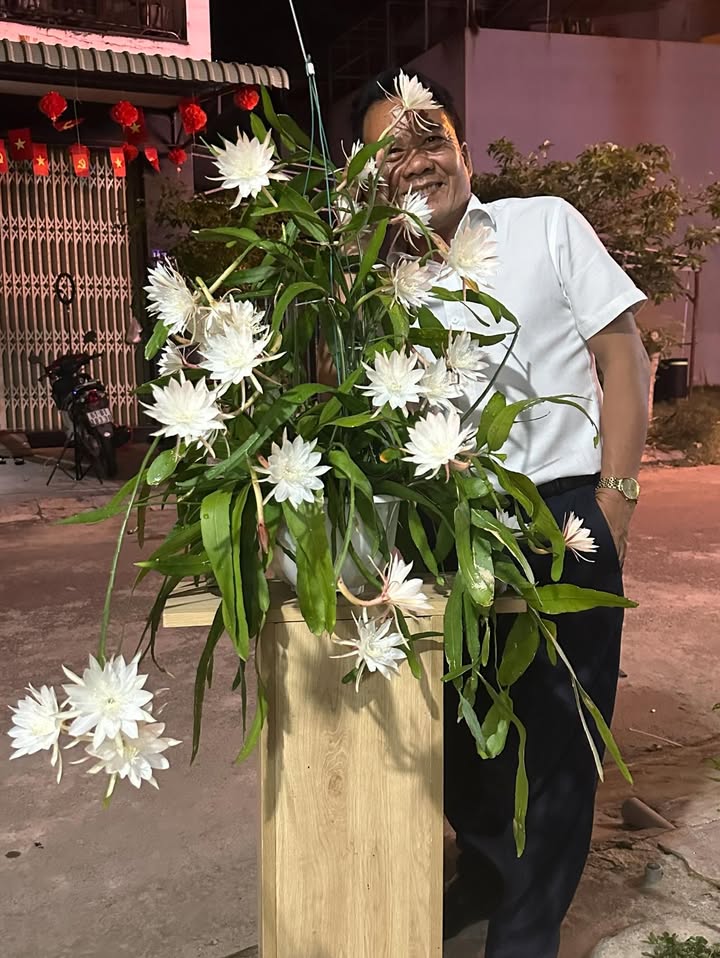 Nhà Mặt Tiền Ngô Mây Quy Nhơn 153m² - KD Đa Ngành, Sổ Đỏ Lâu Dài