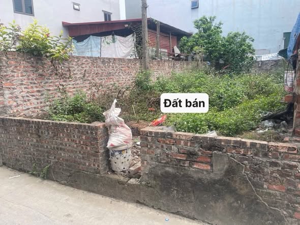 Đất Đông Hội (Đông Anh) 61.5m² - Sổ Hồng Sẵn - Giáp Vinhomes Cổ Loa