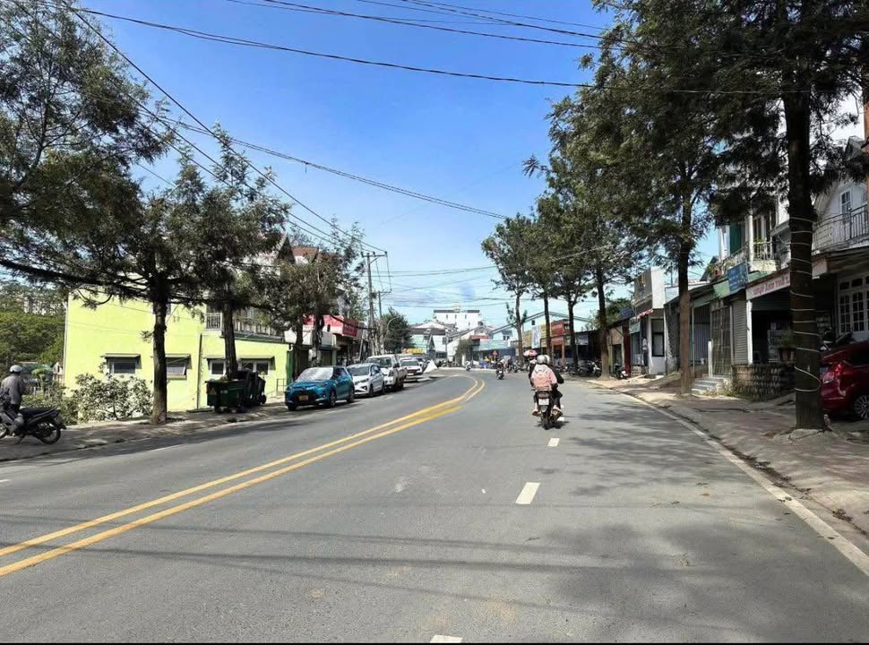 Bán Gấp 2 Lô Đất Mặt Tiền Xô Viết Nghệ Tĩnh, Đà Lạt - Kinh Doanh Đắc Lợi